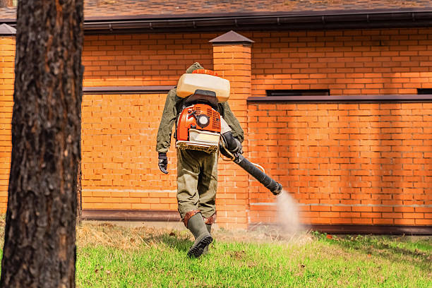 Trusted Emergency Pest Control service in Round Lake Park, IL - Nex Pest Control